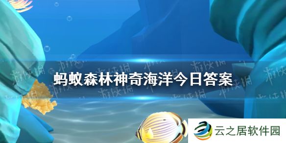 以下哪种海洋生物看起来就像是海底绽放的烟花 神奇海洋12月28日答案